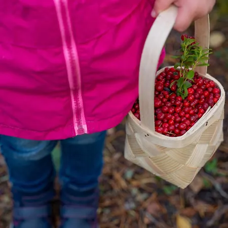 אתר נופש Village Kukkapaeae